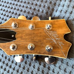 Guitarra de Jazz de madera reciclada