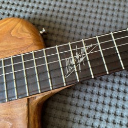 Guitarra de Jazz de cuerdas de nylon