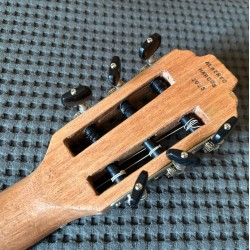 Guitarra de Jazz de cuerdas de nylon