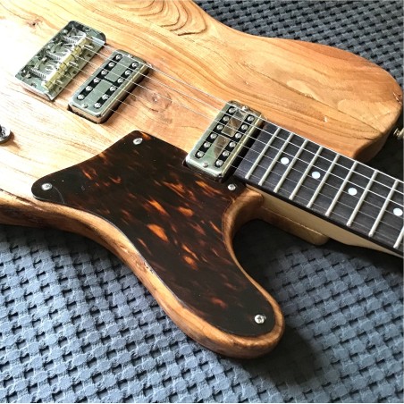 Telecaster Cabronita