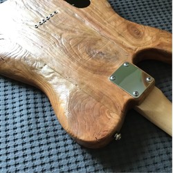 Telecaster Cabronita