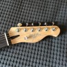 Telecaster Cabronita