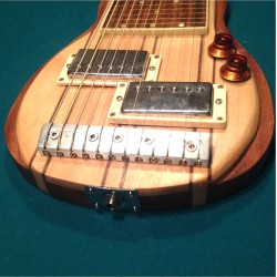 Lap Steel de 12 cuerdas