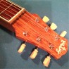 Lap Steel de 6 cuerdas
