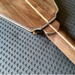 Flying V Lucy de Albert King