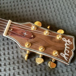 Flying V Lucy de Albert King