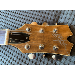 Guitarra de Jazz de madera reciclada