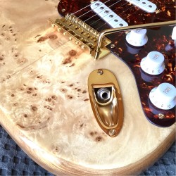 Artisan poplar root Stratocaster