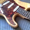 Artisan poplar root Stratocaster