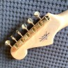 Artisan poplar root Stratocaster