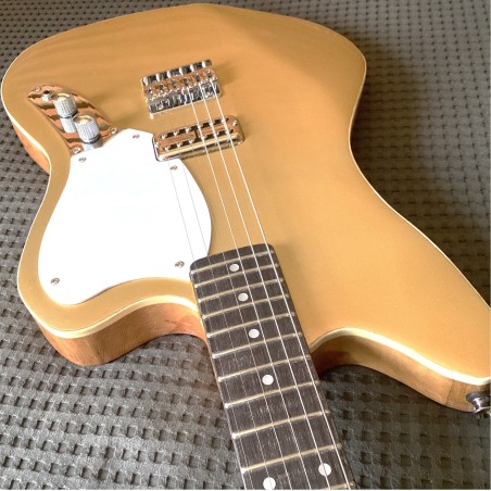 Jaguar Cabronita Gato Gordo