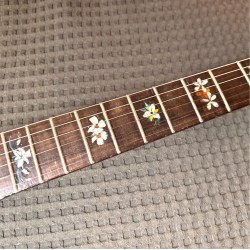 Prestige Hawaiian Dream Resonator Telecaster
