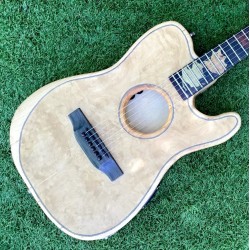 Artisan “The Trees” Acoustasonic Telecaster