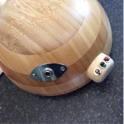 Salad Bowl Lap Steel