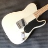 60th Anniversary Limited "Snake Head" Telecaster Prototype