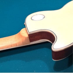 Les Paul Custom 20 Anniversary