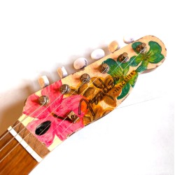Flamingo Sunset Telecaster