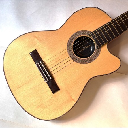 Guitarra clásica de cuerpo sólido