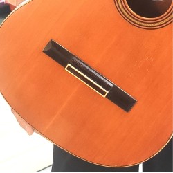 Reparación puente española